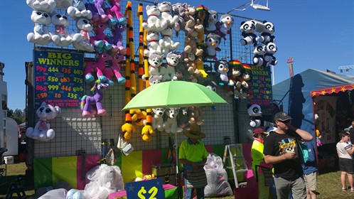 Ormeau Fair 2016 #1